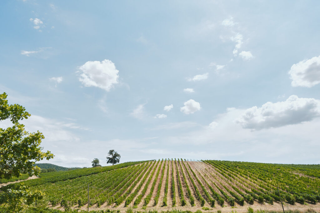 Pablo and Anna Marie in Tuscany